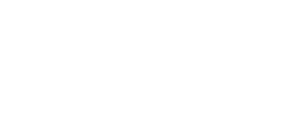 Adamik Electric Logo White